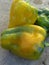 Green and yellow peppers