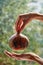 Green yellow pumpkin in the hands. Two hands hold little pumpkin close up on blurred nature background. Horizontal