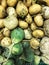 Green and yellow radish on the market