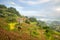 The green and yellow rice fields at the foot of the green mountains, in Asia, in Vietnam, in Tonkin, in Bac Ha, towards Lao Cai,