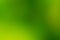 Green and yellow smooth and blurred wallpaper / background