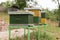 Green and yellow wooden Hives in an apiary with bees. Hives in nature. Apiculture