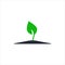 Green young sprout. Seed plant icon. Simple vector icon isolated on a white background. Illustration of the logo.
