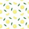 Green yuzu japanese citron fruit seamless pattern vector illustration isolated on white background.