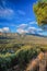 Green Zakynthos island with mountain in Greece