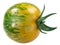 Green Zebra heirloom barred tomato,  isolated