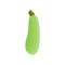 Green zucchini vegetable. Summer squash icon on white background.