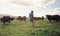 The greener the grass, the more they graze. Rearview shot of a man working on a cow farm.