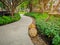 Greenery bush and trees in garden with gray curve pattern walkway, sand washed finishing on concrete paving and brown gravel