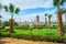 Greenery in Cairo, Egypt