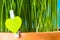 Greenery color themed heart in the grass