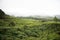 Greenery in Eravikulam National Park