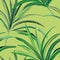 Greenery fresh palm background design. Tropical leaf various banana or coconut jungle, rainforest wild realistic illustration