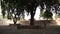 Greenery Inside the Fort of Mehrauli Archaeological Park