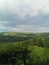 Greenery landscape grass green nature bright life birds flowers clouds