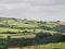 Greenery landscape grass green nature bright life birds flowers clouds