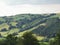 Greenery landscape grass green nature bright life birds flowers clouds