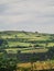 Greenery landscape grass green nature bright life birds flowers clouds