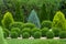 Greenery landscaping of a backyard garden with evergreen thuja.