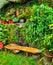 Greenery  plants nature outdoors green-colour leaf agriculture beauty tree freshness growth farm summer flower sunlight bush herb