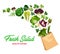 Greenery salads and greens in vector shopping bag