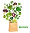 Greenery salads and greens in vector shopping bag