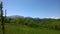 The greenery of spring in the background of a snowy mountain