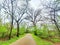 Greenery Trail Rain