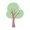 Greenery tree foliage botanical cartoon isolated icon design