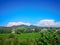 Greenery wineyard, shrubs and trees in beautiful garden backyard, village on the mountain on background under white fluffy clouds