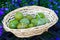 Greengages