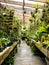 Greenhouse Aisle