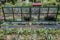 Greenhouse in the allotment garden