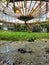 Greenhouse of aquatic tropical plants