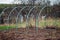 Greenhouse arcs without film in the garden