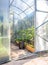 Greenhouse in back garden with open door and bailer