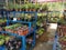 Greenhouse with blossoming flowers and plants nursery. Flowers and plants for sale.