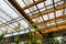 A greenhouse with a brown wooden framing filled with lush green trees and plants with colorful flowers