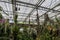 A greenhouse with a brown wooden framing filled with lush green trees and plants with colorful flowers at Atlanta Botanical Garden