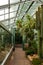 Greenhouse Cacti Enchanting Oasis: Cacti Harmony in the Botanical Haven. Embarking on a Green Journey: Cacti Elegance in