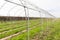 Greenhouse construction