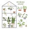 Greenhouse Creator. Set with house plants and pots. Concept of botanical garden, home gardening