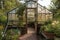 greenhouse with creeping vines and blooming flowers