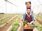 Greenhouse, father and girl with vegetables, happy or fresh produce from garden. Portrait, agriculture and parent with