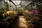 greenhouse filled with blooming orchids in pots