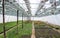 Greenhouse with flowers