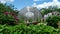 Greenhouse in the garden. Open doors in a greenhouse with vegetables. In the foreground, the wind sways peony and strawberry