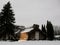 Greenhouse girlish overgrown vines and surrounded by pine trees and shrubs in winter