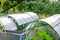 Greenhouse or glasshouse on the backyard