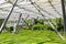 a greenhouse with a green lawn and bushes under a dome.